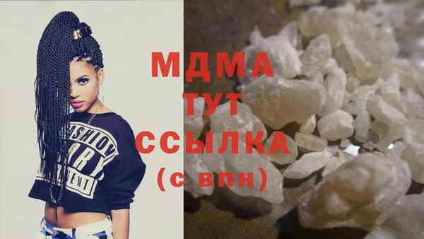МДПВ Ветлуга