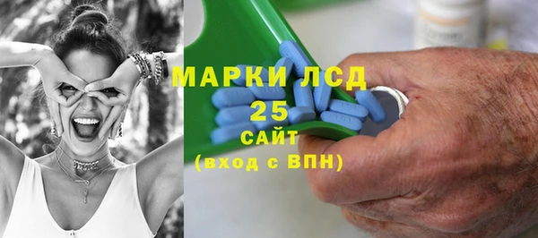 МДПВ Ветлуга