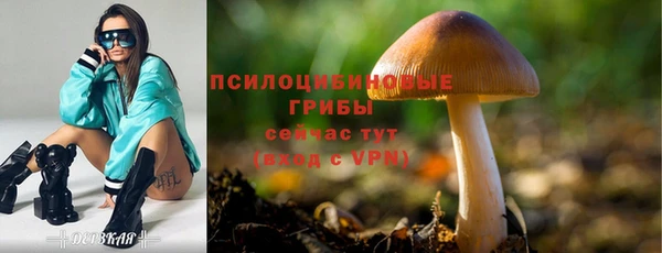 МДПВ Воткинск