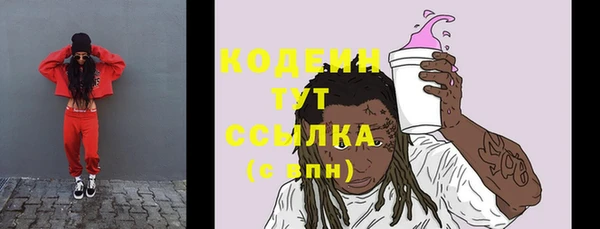 МДПВ Ветлуга