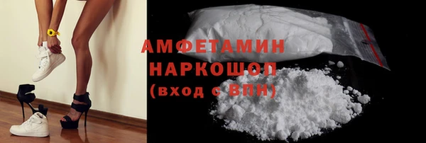 МДПВ Ветлуга