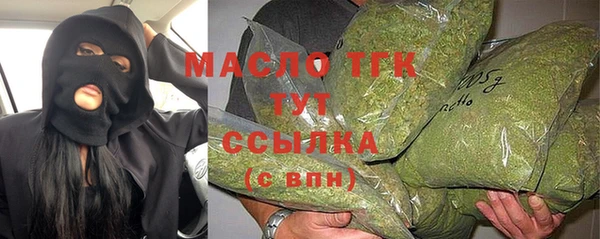 МДПВ Ветлуга