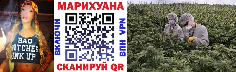 купить Любим OMG вход МАРИХУАНА VHQ
